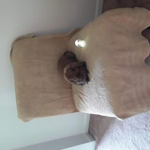 Meet your Posher, Hailey